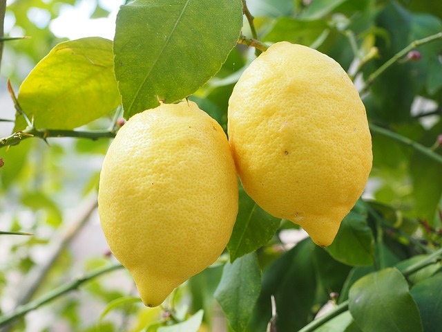 lemons